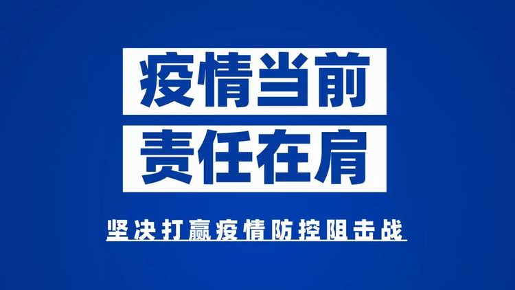 视频预览